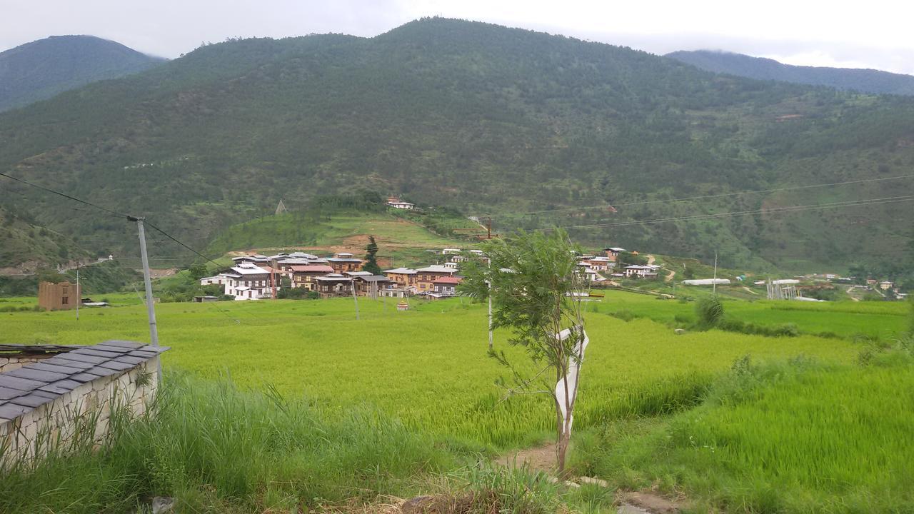 Chimi Lhakhang Village Homestay 普纳卡 外观 照片