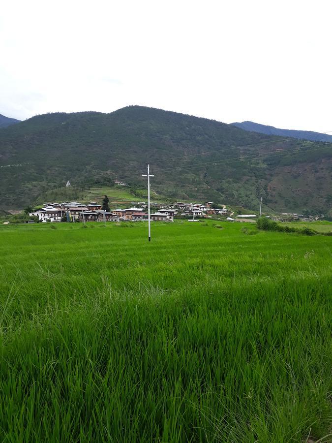 Chimi Lhakhang Village Homestay 普纳卡 外观 照片